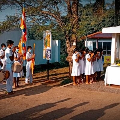 Photo 6098179890860896994 Y